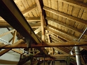 bild (12)